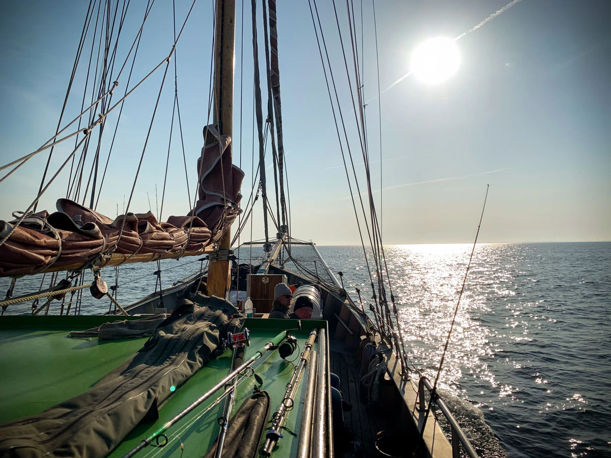 d8bfb-c0d8b-46846648765-ab39273b85-o