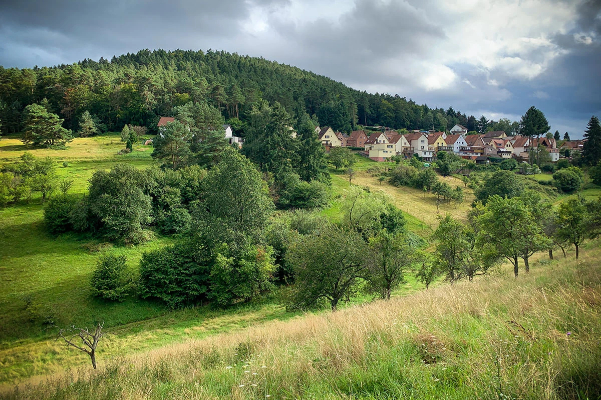 870aa-3b1fe-51406075639-31e6e246a9-o