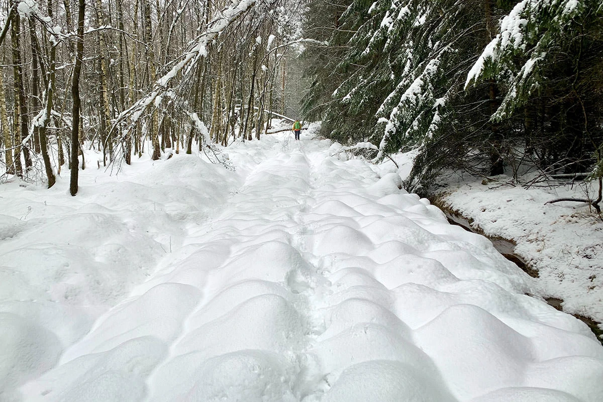 cc708-a52fc-50894791307-29b73e1433-o