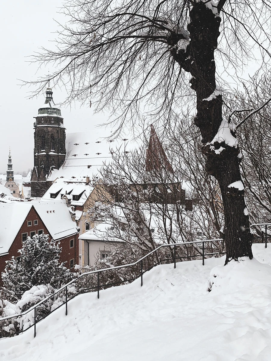 d3d73-4d6c2-50928219003-030b5c690f-o