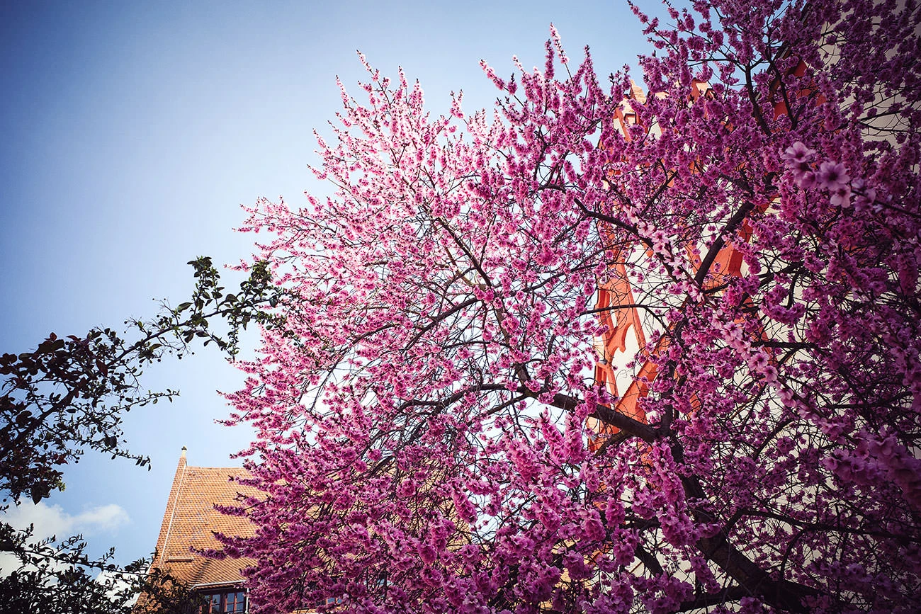 6f699-e145e-51984746572-f6050c4dbc-o