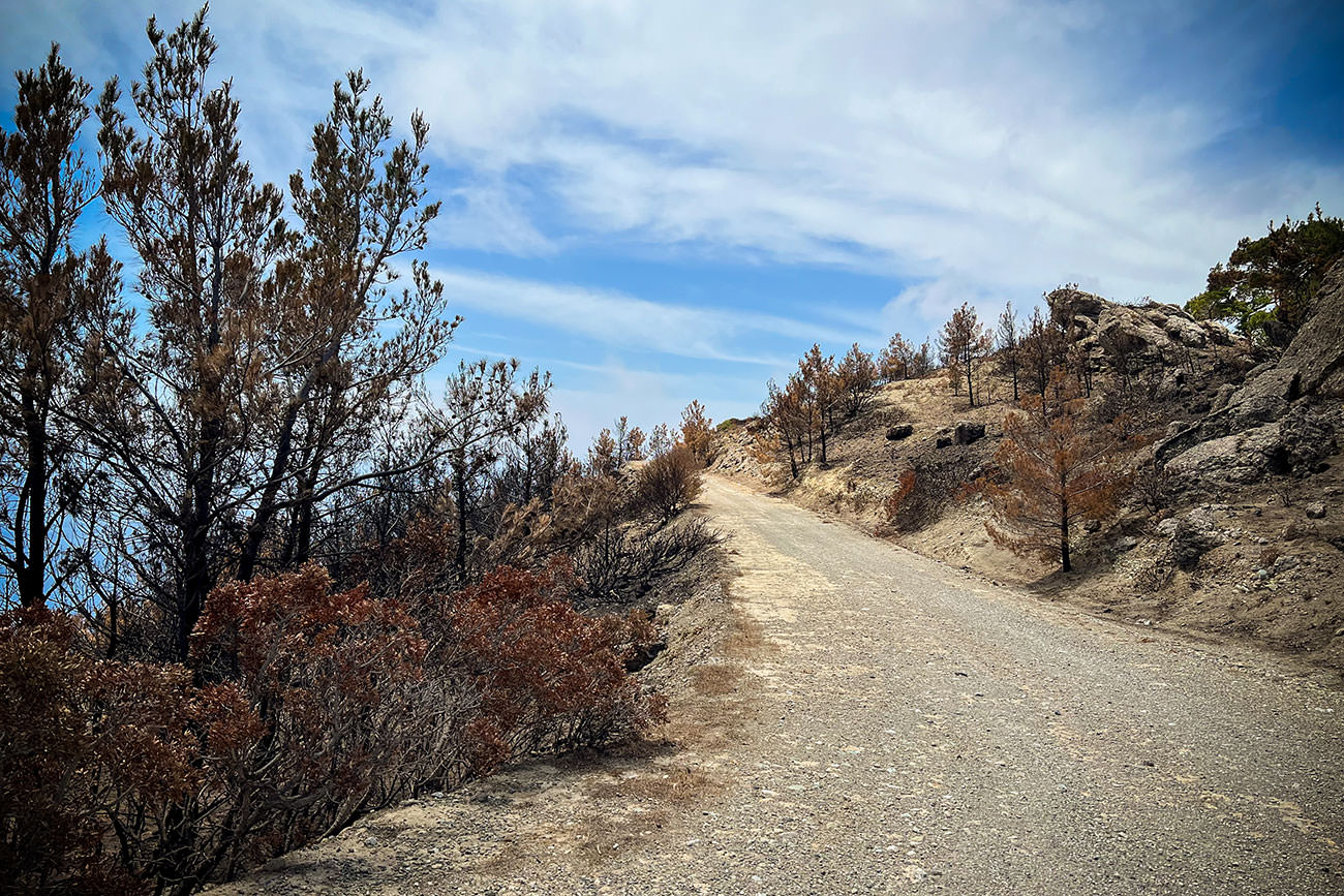 1792e-d789b-53731170731-4291191144-o