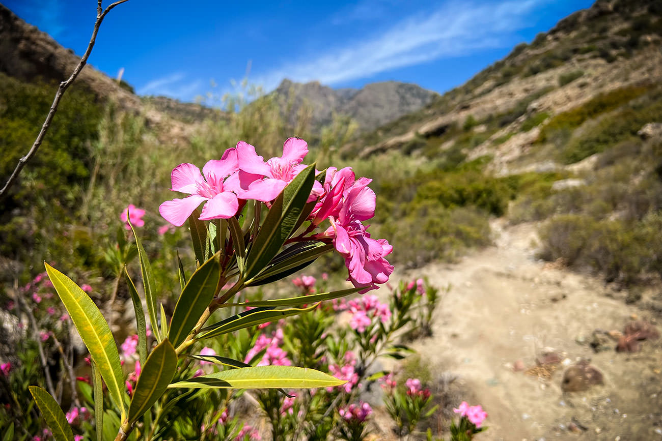 8d17f-9bcfb-53730247572-eac9d8ba57-o