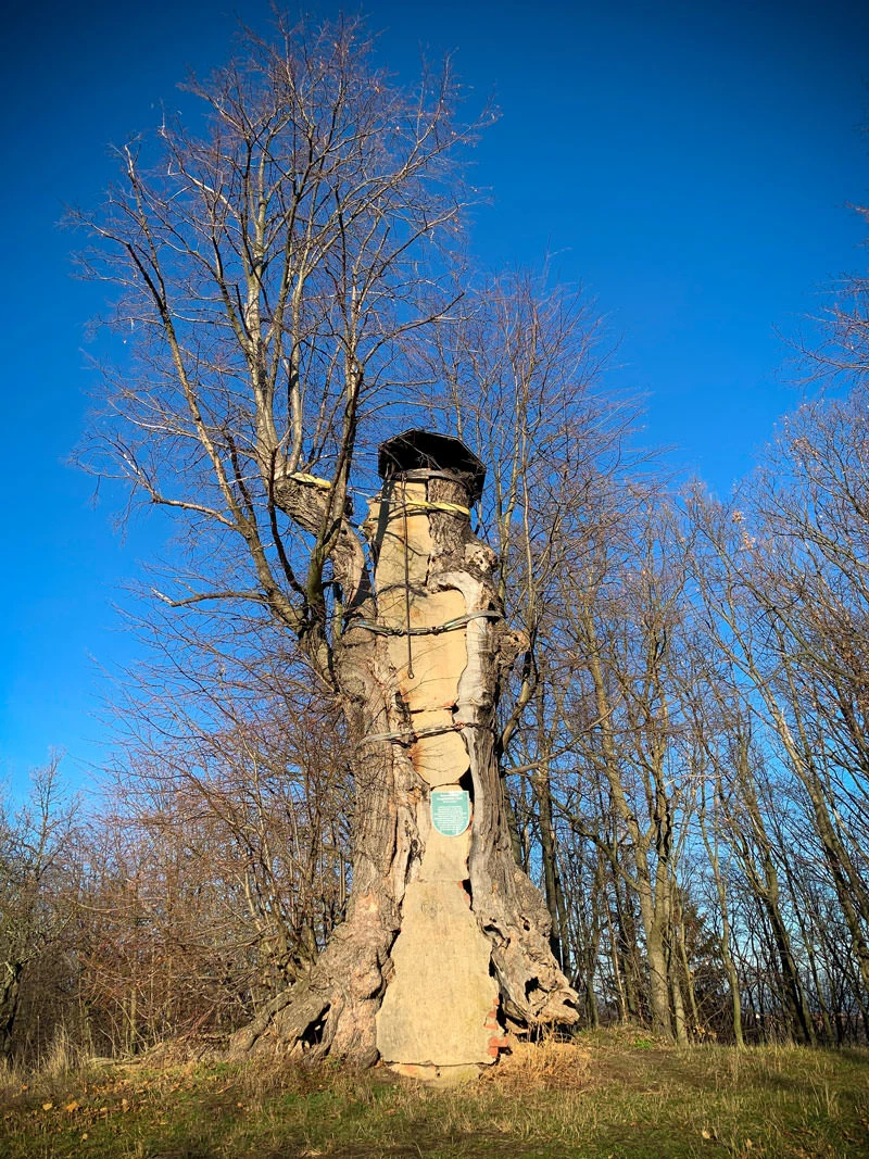 48d1a-8ecf1-49314239448-eb7c42f488-o