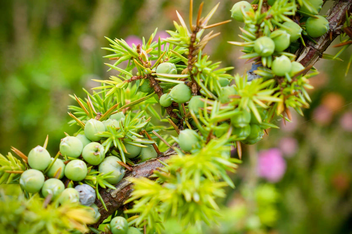 074b2-5215f-48611586552-cd21665f11-o