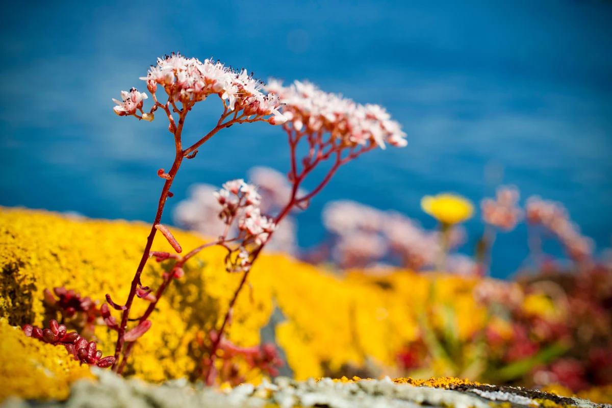 2a8df-f0ebc-48611074958-4540f0b02c-o