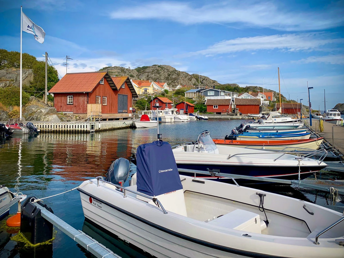 4c62e-c9369-48611074843-1230e846c9-o