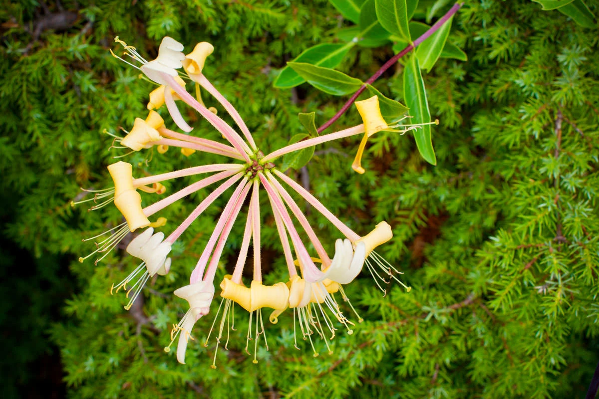 56e0c-1f101-48611431466-bc8618e6e7-o