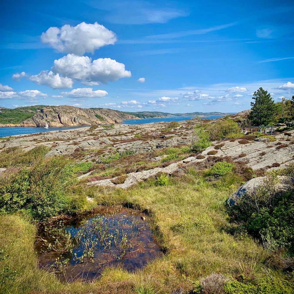 a165a-dce9d-48611074703-0af2200e87-o