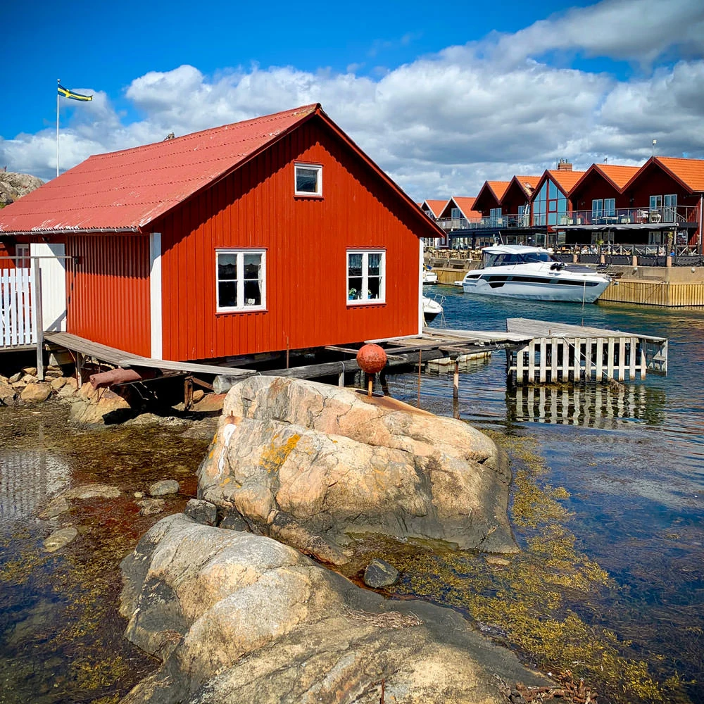 aebbc-32583-48611586247-9501fd0a74-o