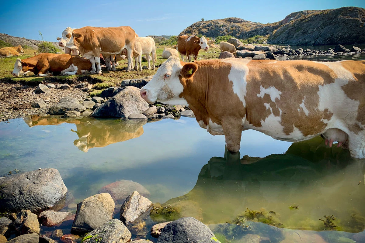 c41bf-5067b-48611430961-8ec7139c12-o