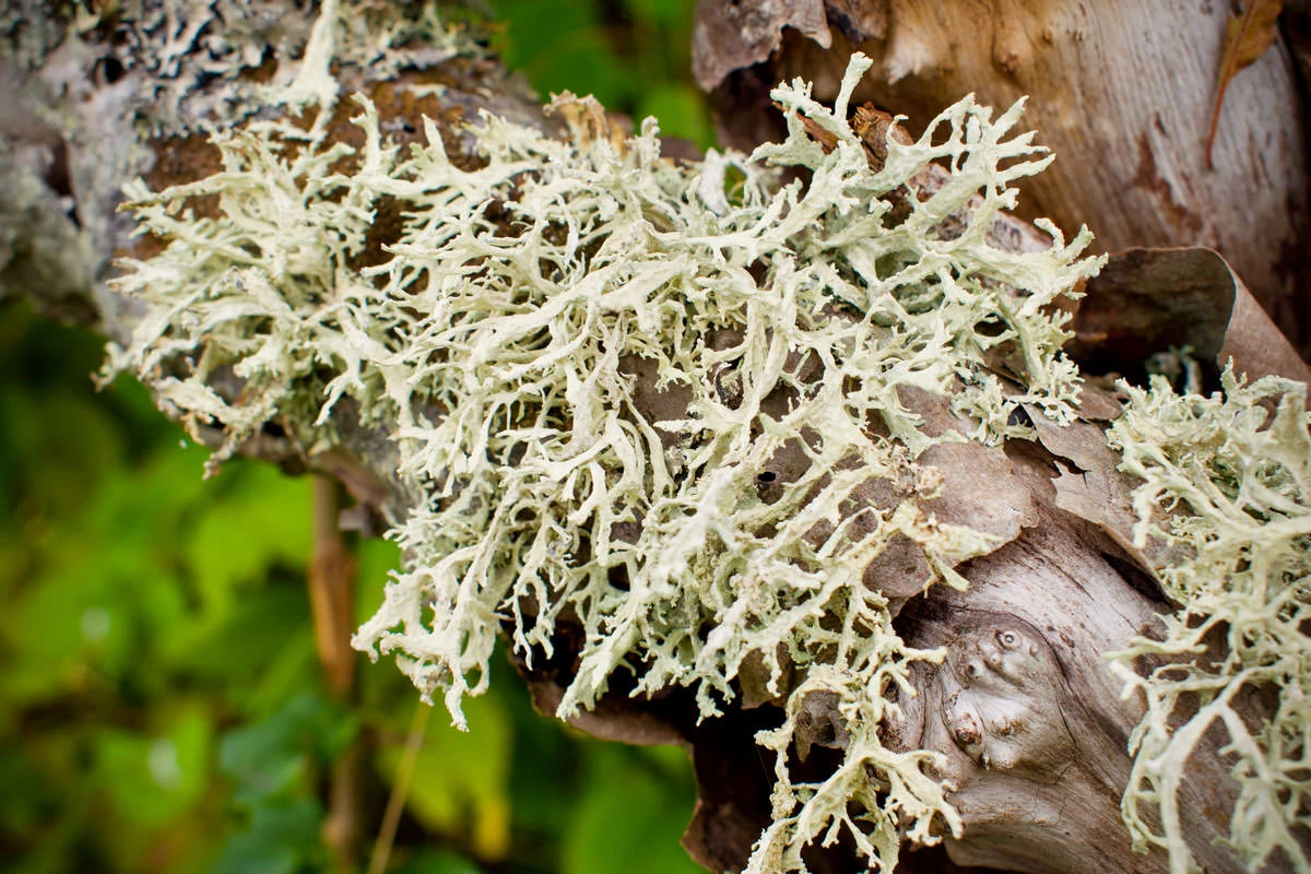 e9eb0-f8e20-48611586512-d01a2dfa84-o